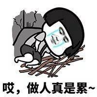 爸妈微信头像不能用猫,赶紧给我换了