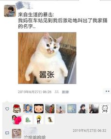搞笑gif每次我躺的下时候,就觉得网络真就不好了