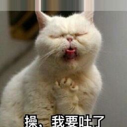 个性搞笑无底线表情微信头像