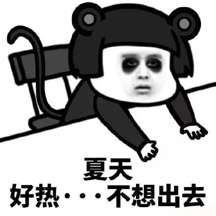 空姐图片表情包搞笑装酷