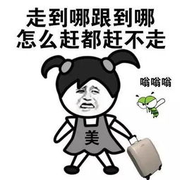 一场家的旅行