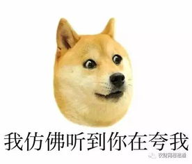 泪流满面表情包搞笑狗头