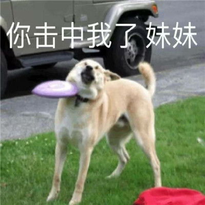 qq搞笑表情qq表情搞笑搞笑表情图片大全腾牛个性网