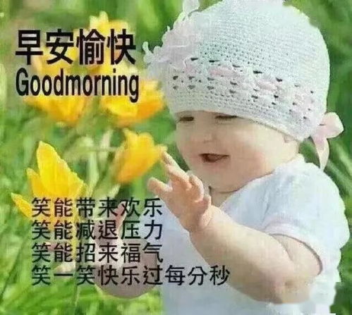 人生,该说的要说,该哑的要哑,是一种聪明早安生活