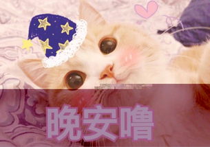 撩汉专用表情包,小仙女说晚安软萌又可爱,撩得他想咬你