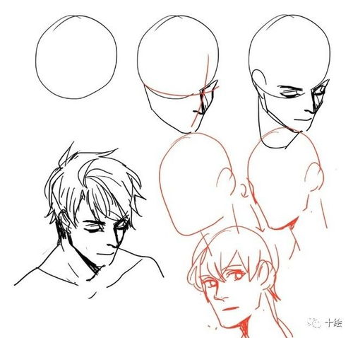 多角度头部的画法,就怕你连正面都不会画