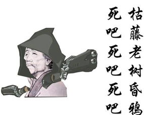 杜甫你不是一个人日本学生玩坏织田信长23333