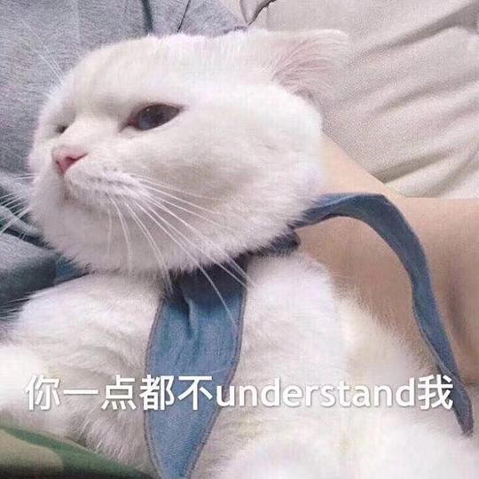的相册表情包s