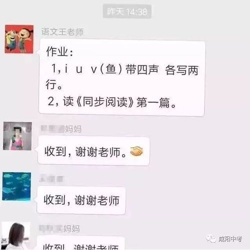 教育部答复关于停止小学老师用手机微信和qq对学生及家长布置和提交作业的提案