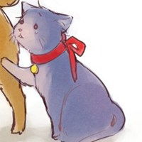 猫狗头像一起情侣头像微信头像图片大全