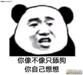 你像不像个复读机你自己想想表情包接住钞票表情包下载乐游网游戏下载