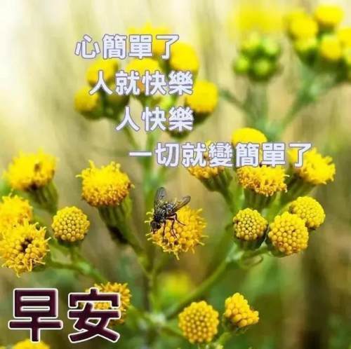 心上人早安问候表情包