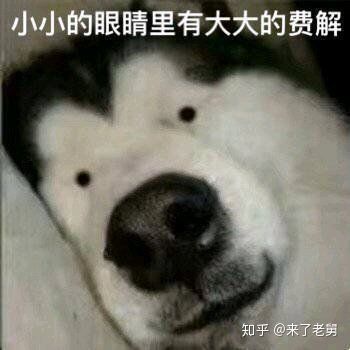 皇室战争腾讯版怎么更新,应用宝有问题