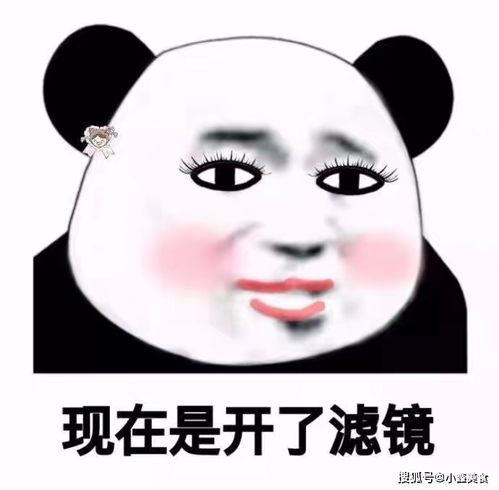 爆笑段子同事这段时间狗经历了什么,它怎么生下三个小狗崽子
