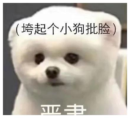 哈哈哈的表情包搞笑狗子