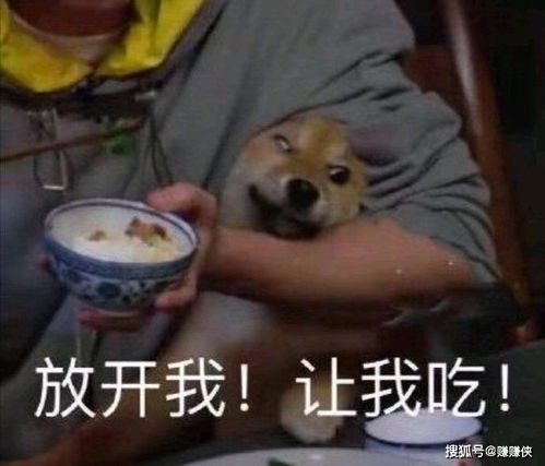 可爱表情包图片想和我一起睡开心