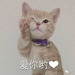 三字女星撒娇卖萌,队友狂翻白眼骂智障,萌于做作界限在哪