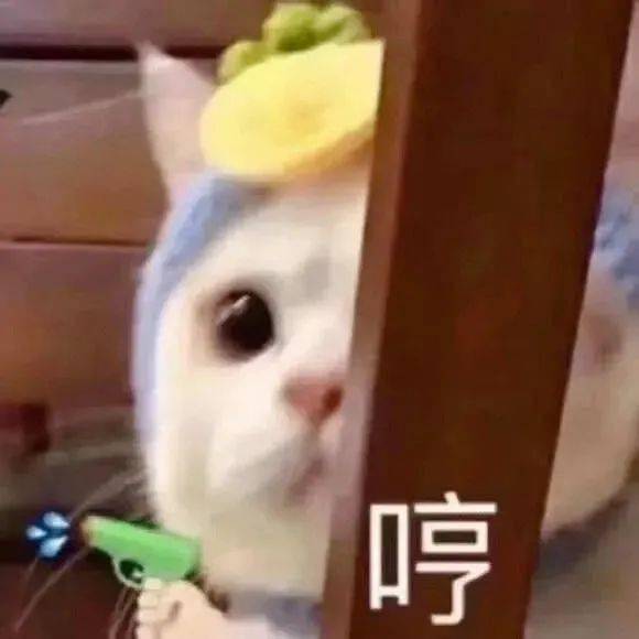 情侣头像情投意合的对象