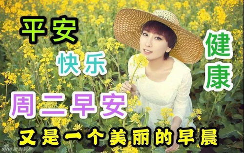 非常有创意的周二早上好表情包,幸福快乐,一切顺心