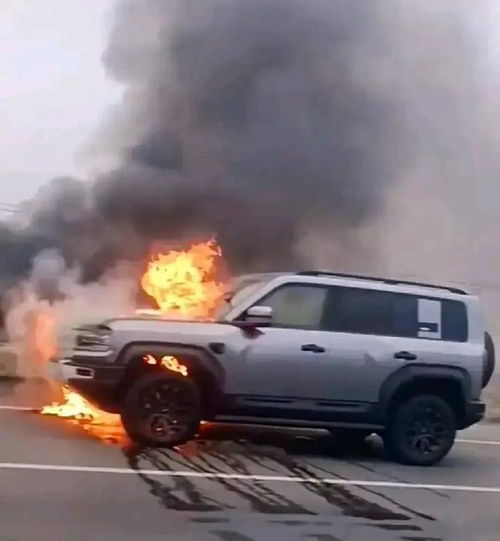 起火了比亚迪学学一加,直接报警吧