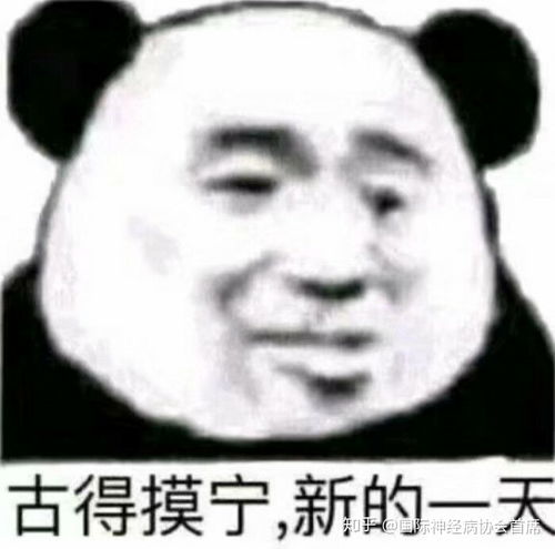 有什么可爱的早上好表情包吗