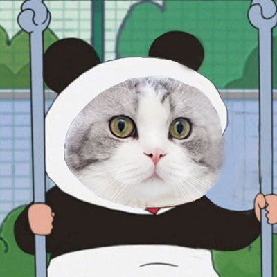 呆萌猫咪图片卡通头像漂亮猫咪图片大全可爱