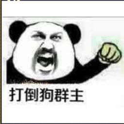 求这个表情包的原图,谢谢
