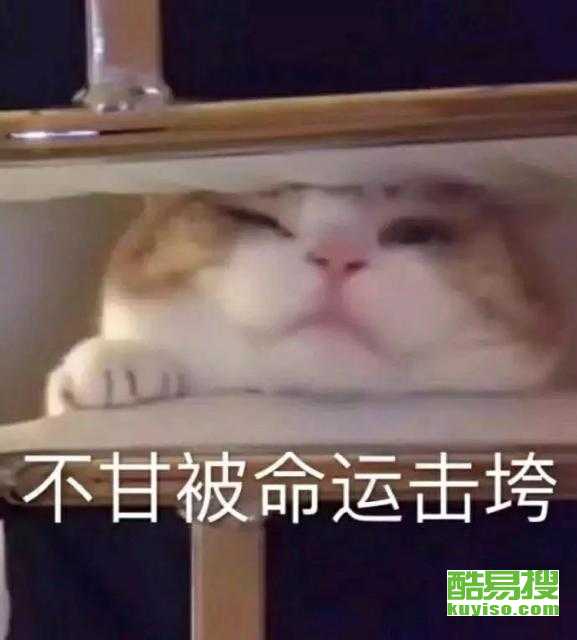 泉州酷易搜