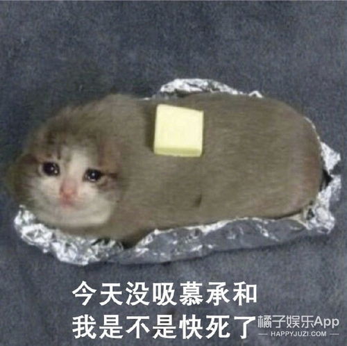 慕承和给你妈打电话了,快接