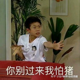 宋民国的表情包应该和谁配成情头