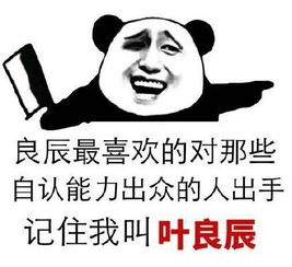 求叶良辰经典语录的表情包