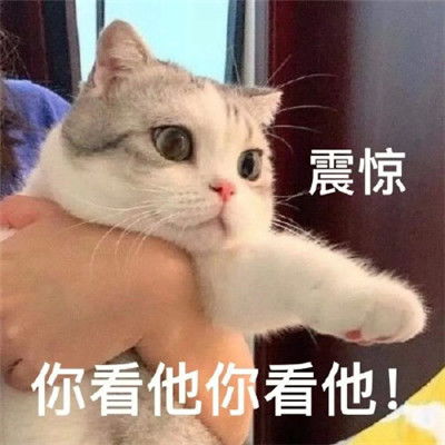 微信无敌斗图表情包大全斗图表情吧搞笑图片