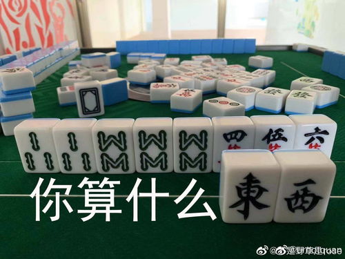 李宇春真的有资格担任中国好声音导师吗