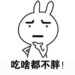你的梦想是什么斗图表情包搞笑图片