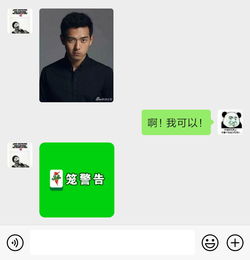 我太南了麻将文字表情包,登场