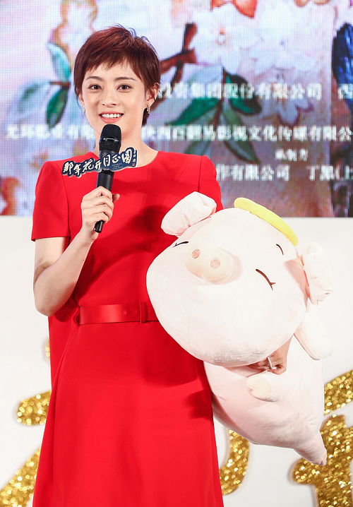 孙俪变身行走的表情包爆料刚进组就被陈晓喊妈