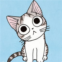甜甜私房猫卡通头像可爱2018超萌的甜甜私房猫小奇头像图片