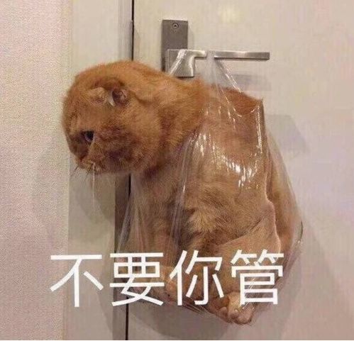 幽默笑话昨天哥们冻感冒了,就打算去医院输液