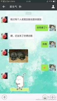 笑喷有个喜欢用表情包的爸妈是什么体验他们才是斗图界的扛把子