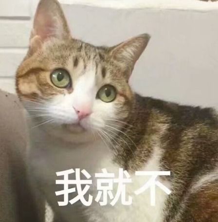 幽默笑话期中考之后,数学老师要发表成绩