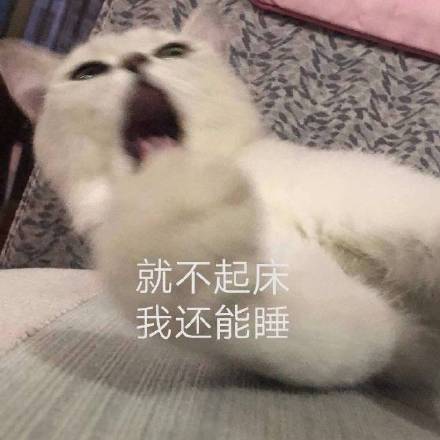 我是你爸,千变万化千变万化表情