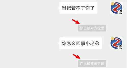 微信表情又有2个新玩法了恶搞拉黑移出群聊还能发炮弹