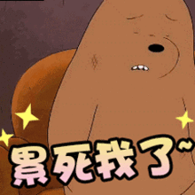 年尾收官年会聚餐......社畜身心平安过年法则请收藏