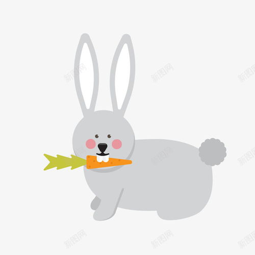卡通动物兔子吃胡萝卜高清素材免费下载页面网页平面电商创意素材png素材素材