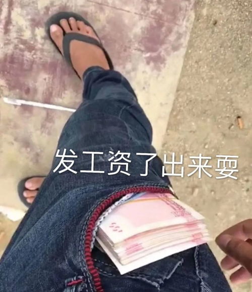 表情包都说了让你别碰爱情这玩意