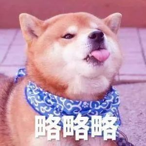 我猜每个人都会有那么几个狗狗的表情包