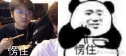 lpl赛事没品图自从开始搞竞,奇怪的表情包增加了
