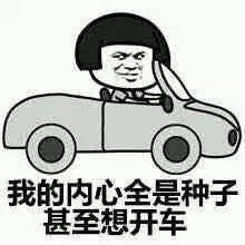 老司机必看买了车之后的生活是啥样看看这些霸道总裁怎么说