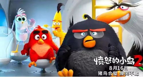 愤怒的小鸟2爆笑来袭,猪鸟御敌,堪称鸟届速度与激情