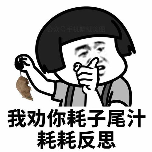 搞笑可爱的表情包小宝贝